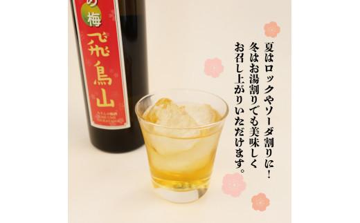 梅酒 本みりん 味醂 うめ 無農薬 梅 飛鳥山 みりん梅酒 500ml 2本 うめ酒 麹 リキュール 純米本みりん 杉井酒造 静岡