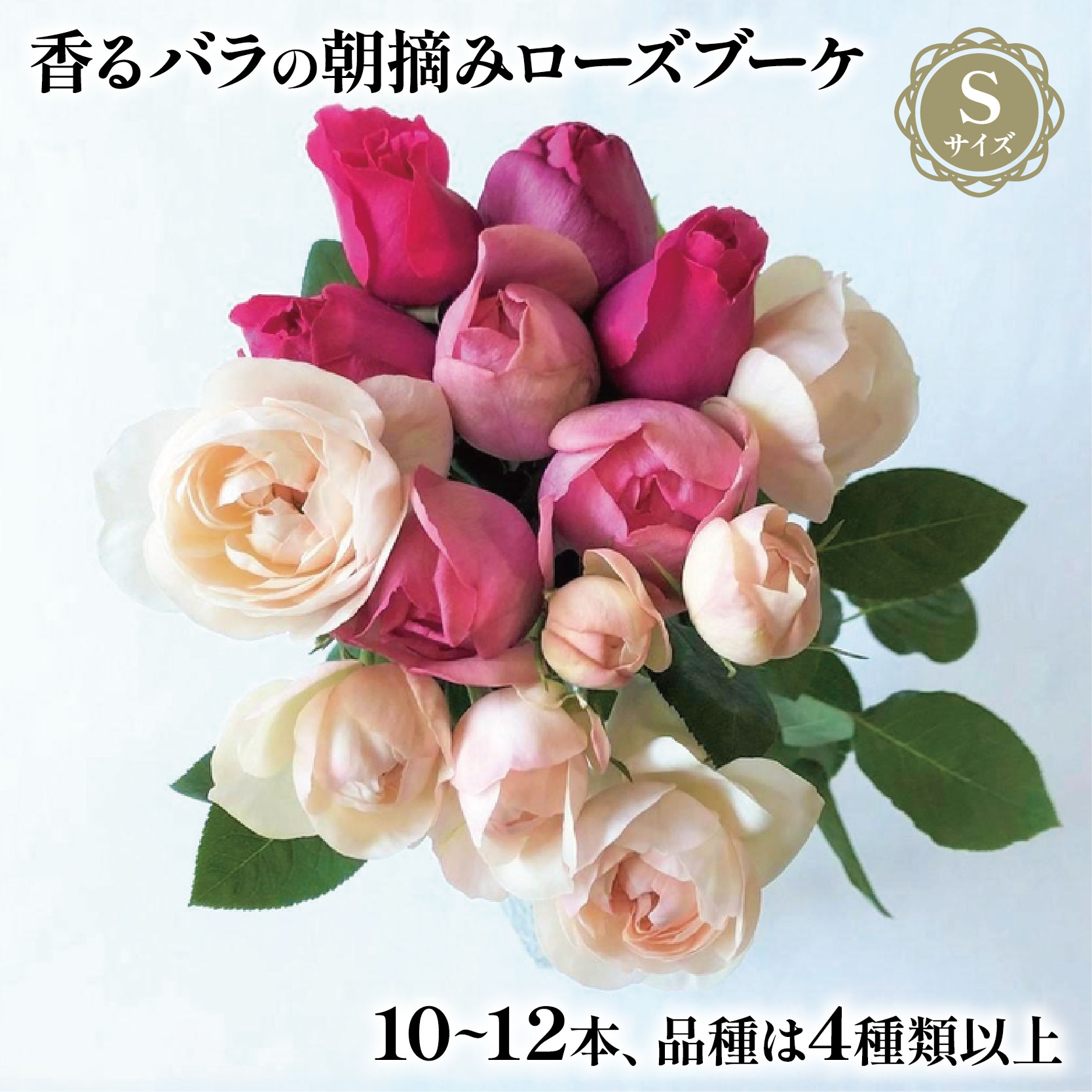 バラ 花束 ブーケ 朝摘み Sサイズ 薔薇 花 ばら 花 パフューム ローズ バラの花束 生花 ギフト 花 プレゼント