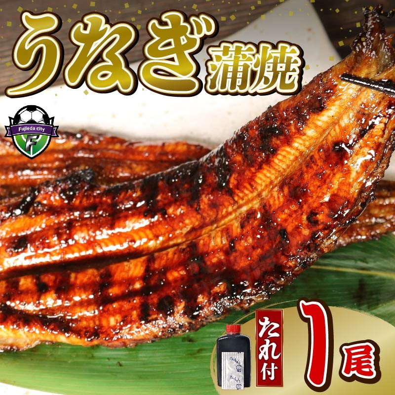 【訳あり】 うなぎ 蒲焼 1尾 140g  鰻蒲焼 ウナギ かばやき 土用 丑の日 活鰻 自家製蒲焼 たれ 山椒 冷蔵 まとめ買い 静岡県 藤枝 ふるさと人気