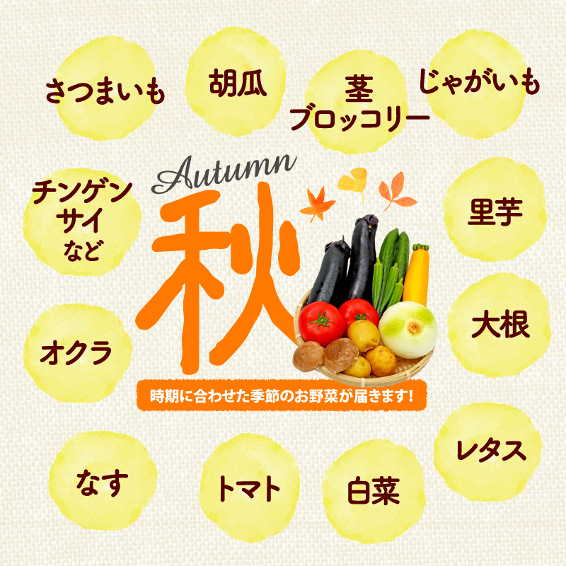 ãå
š3åå®æäŸ¿ã éè è©°ãåãã ããŸãã éèè©°åã ïŒ6ã8çš®ïŒ è©°åã 6ã8çš® ããŸãã æ¬ ãŸããããã ããã¯ã¹ é岡ç è€æåž ( 人æ°éè ãµãããšçŽçšéè ãµãããšéè furusatoéè ããããéè éæç¡æéè é岡ç è€æåž )