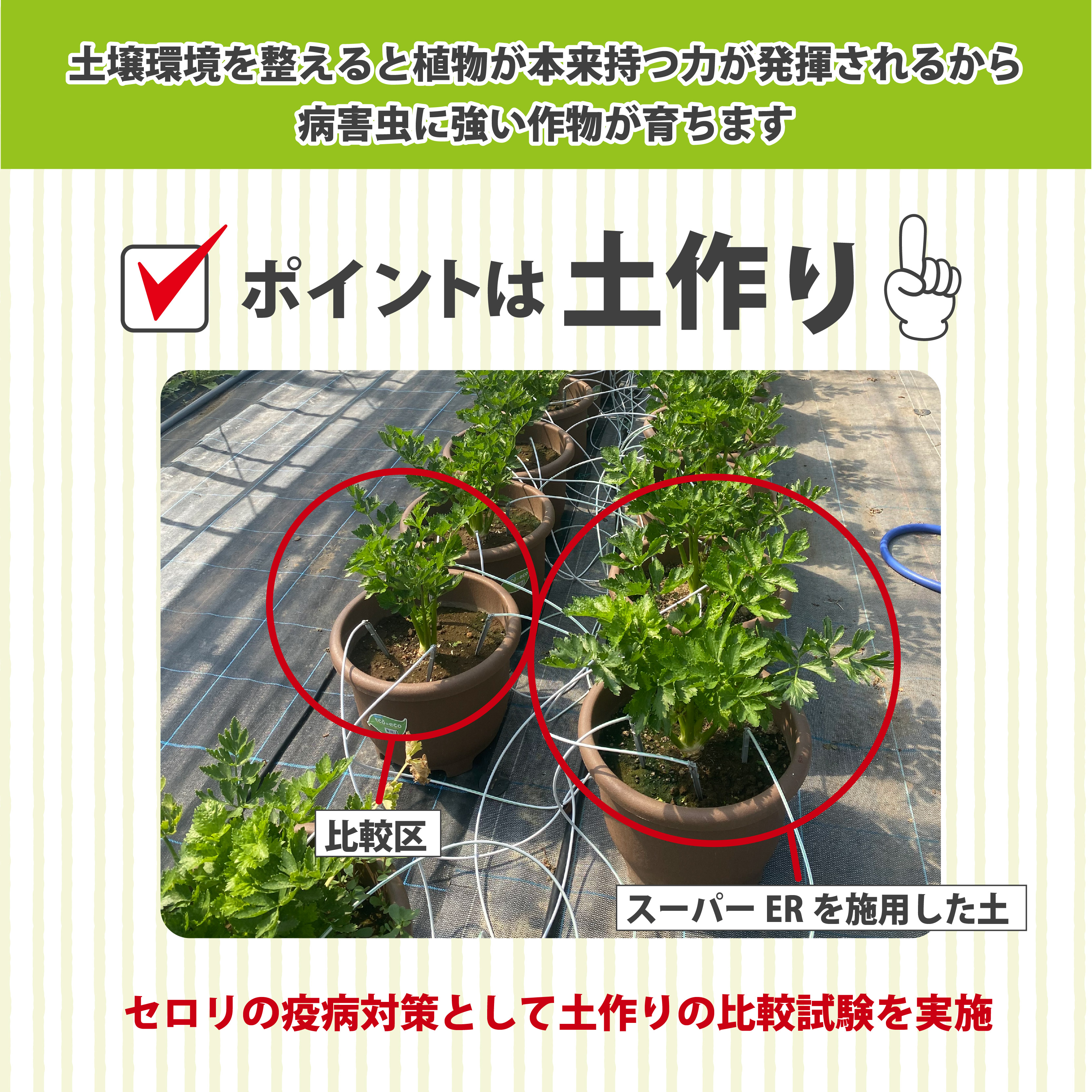 土壌改良材 スーパーER富士のしずく （ 250ml ） ガーデニング 園芸 畑 農業 家庭菜園 土作り 静岡県 藤枝市