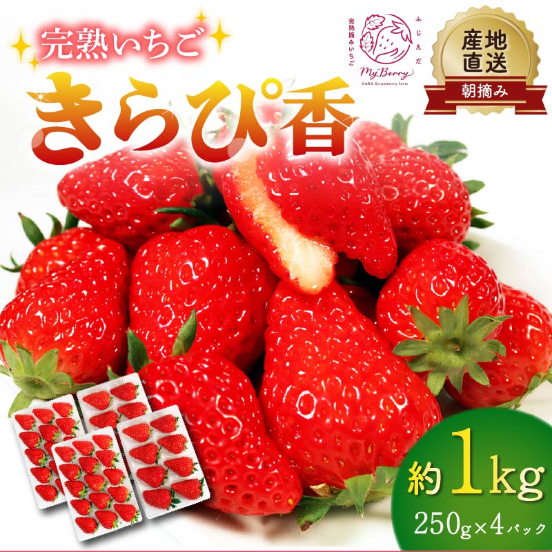 【先行予約 : 2026年1月〜2026年2月発送予定 】 いちご きらぴ香 約1kg 約250g×4パック 朝どれ 完熟 苺 産地 直送 フレッシュ イチゴ 贈答 フルーツ 果物 国産 静岡県 藤枝市 ふるさと人気 ふるさとおすすめ