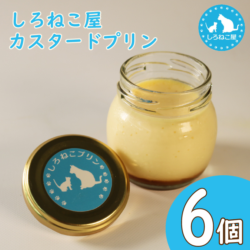 プリン 手作り カスタード プリン  6個 セット お菓子 デザート スイーツ おいしい  おやつ 洋菓子 ご褒美 送料無料   静岡県 藤枝市