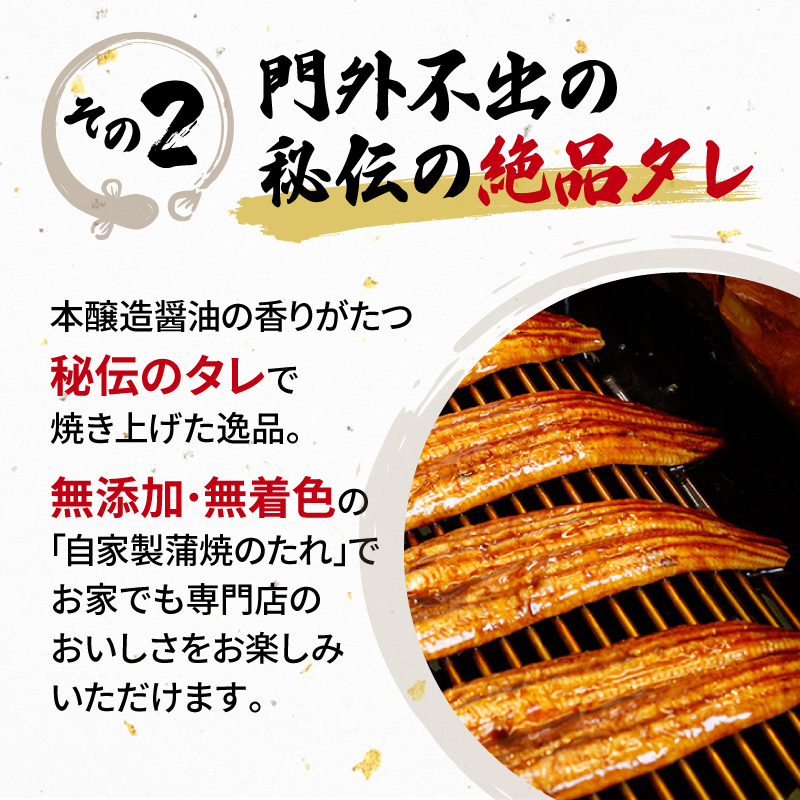 うなぎ 国産 蒲焼 160g × 8尾 計1280g 鰻蒲焼 ウナギ 土用 丑の日 JAS認定 活鰻 自家製蒲焼のたれ 山椒 ギフト 贈答 冷凍 養殖 真空パック レンジ 調理 湯煎 まとめ買い 静岡県 藤枝