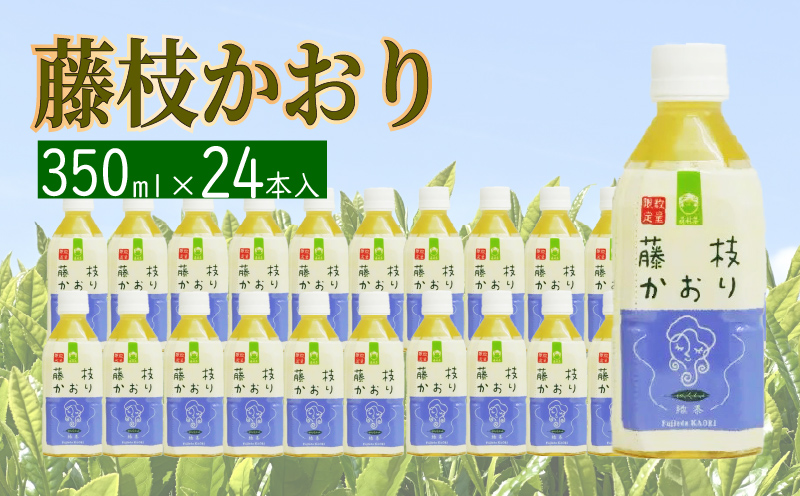 お茶 ペットボトル 緑茶 藤枝かおり 350ml × 24本 静岡茶 茶葉 おちゃ 箱 まとめ買い 飲料水 常備 防災 飲み物 飲料 備蓄 保存 災害 静岡県 藤枝市 ふるさと人気