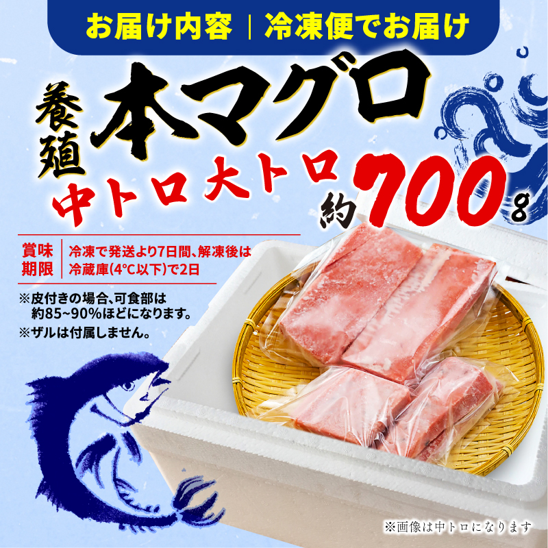 訳あり 本まぐろ 中とろ 大とろ セット 約 700g 不定型柵 鮪 まぐろ 中トロ 大トロ 冷凍 鮪 漬け マグロ ユッケ 海鮮 本マグロ 本まぐろ 人気 まぐろ おいしい まぐろ 静岡 藤枝