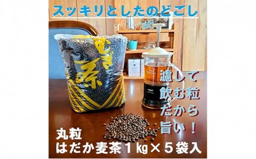 麦茶 のどごしさやか「はだか麦茶」 1kg 入れ 5個 飲料 大容量 むぎ茶 煮出し 八木音 静岡県