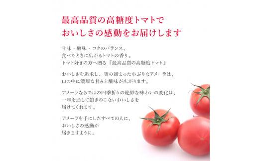 アメーラ トマト ミニトマト 5パック セット アメーラルビンズ 高糖度 7.5以上 化粧箱入り 産地 直送 新鮮 旬の 野菜 高級 フルーツトマト 甘い
