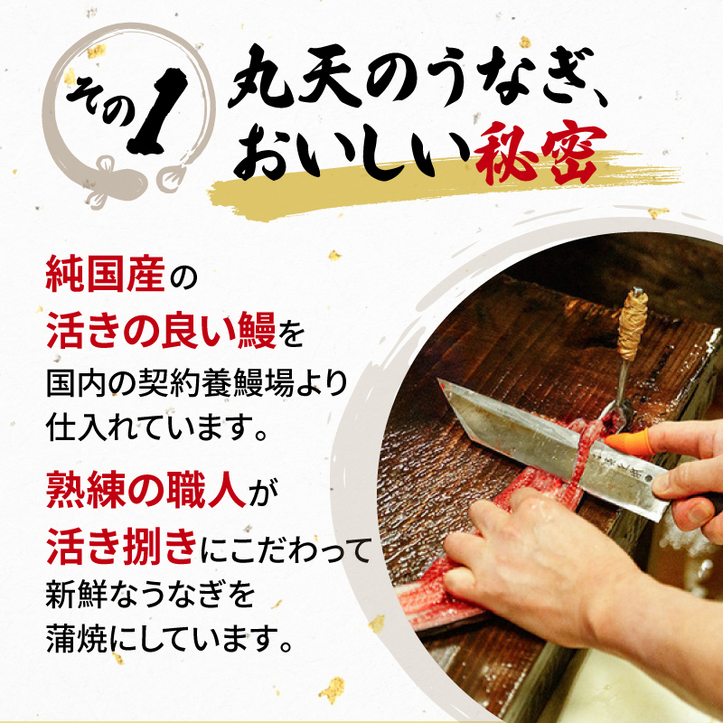 うなぎ 国産 蒲焼 160g × 8尾 計1280g 鰻蒲焼 ウナギ 土用 丑の日 JAS認定 活鰻 自家製蒲焼のたれ 山椒 ギフト 贈答 冷凍 養殖 真空パック レンジ 調理 湯煎 まとめ買い 静岡県 藤枝