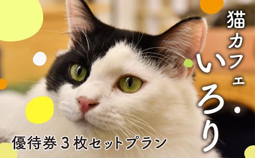 猫 カフェ 利用優待券 チケット 1時間分 × 3枚 ねこ 動物 ペット 癒し 保護猫 触れ合い