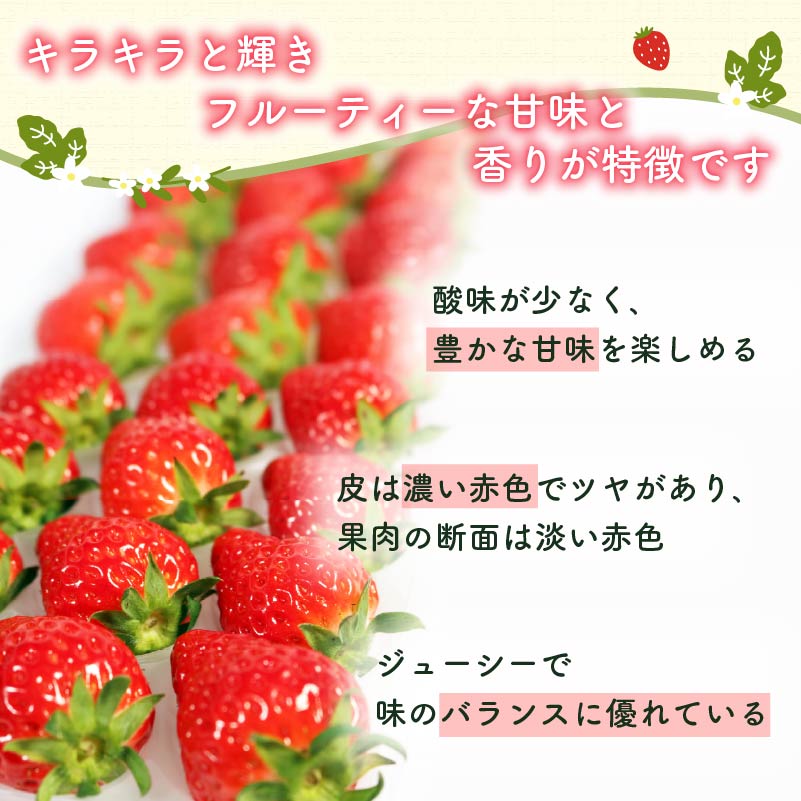 【先行予約 : 2026年1月〜2026年2月発送予定 】 いちご きらぴ香 約1kg 約250g×4パック 朝どれ 完熟 苺 産地 直送 フレッシュ イチゴ 贈答 フルーツ 果物 国産 静岡県 藤枝市 ふるさと人気 ふるさとおすすめ