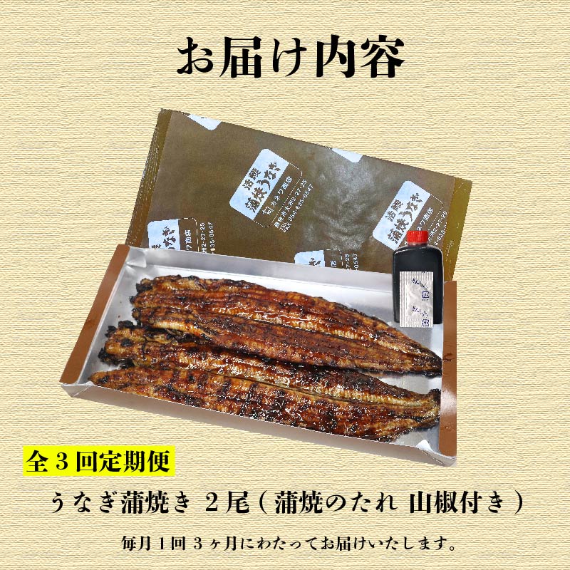 【全3回定期便】 うなぎ 蒲焼 大姿焼き 2尾 (140g×2) 定期便 鰻蒲焼 ウナギ かばやき 土用 丑の日 活鰻 自家製蒲焼 たれ 山椒 ギフト 贈答 冷蔵 まとめ買い 静岡県 藤枝 ふるさと人気