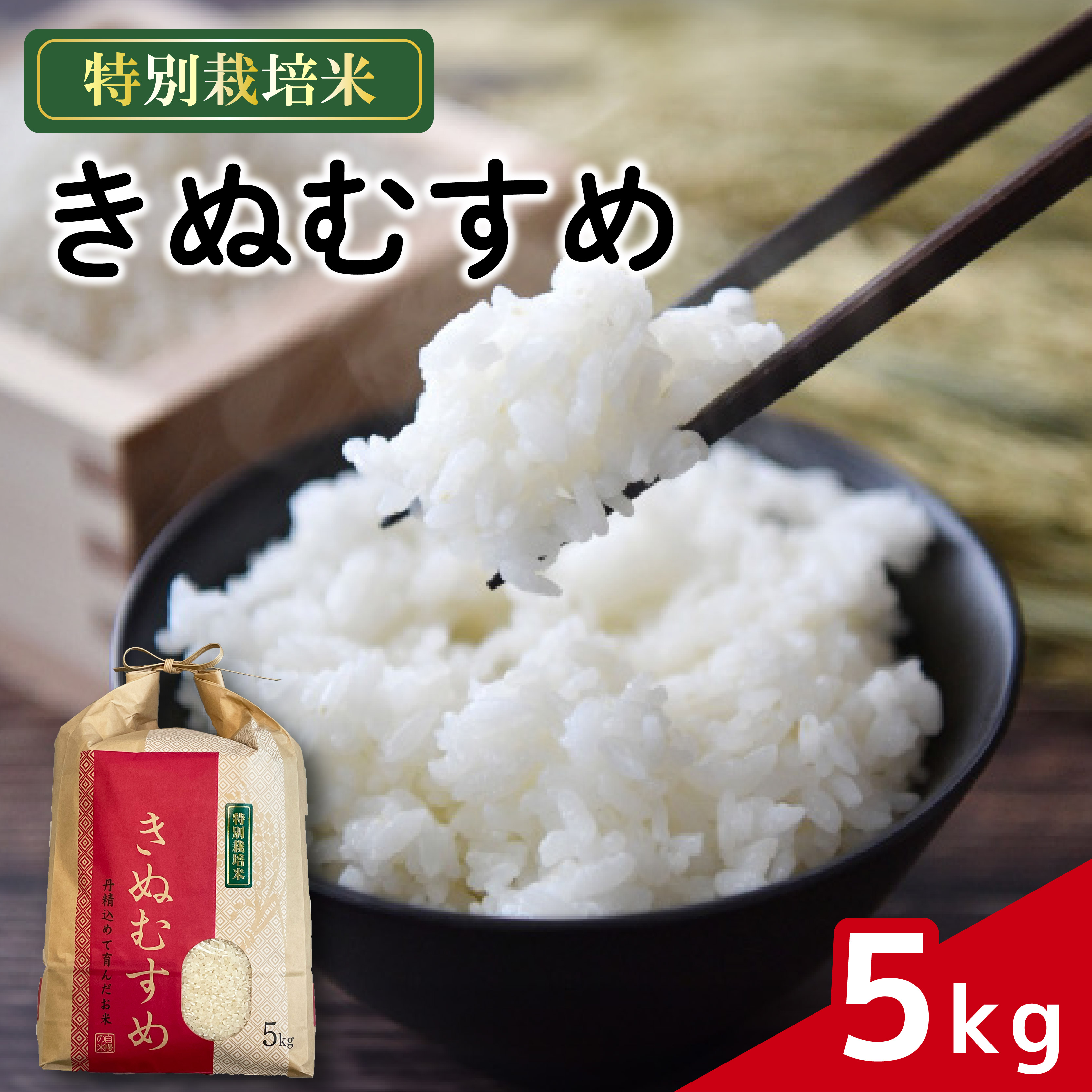 米 きぬむすめ 5kg 農家直送 特別栽培米 精米 令和7年度産 お米 新生活 贈り物 人気米 ご飯 白米 コメ 贈答 静岡県 藤枝市