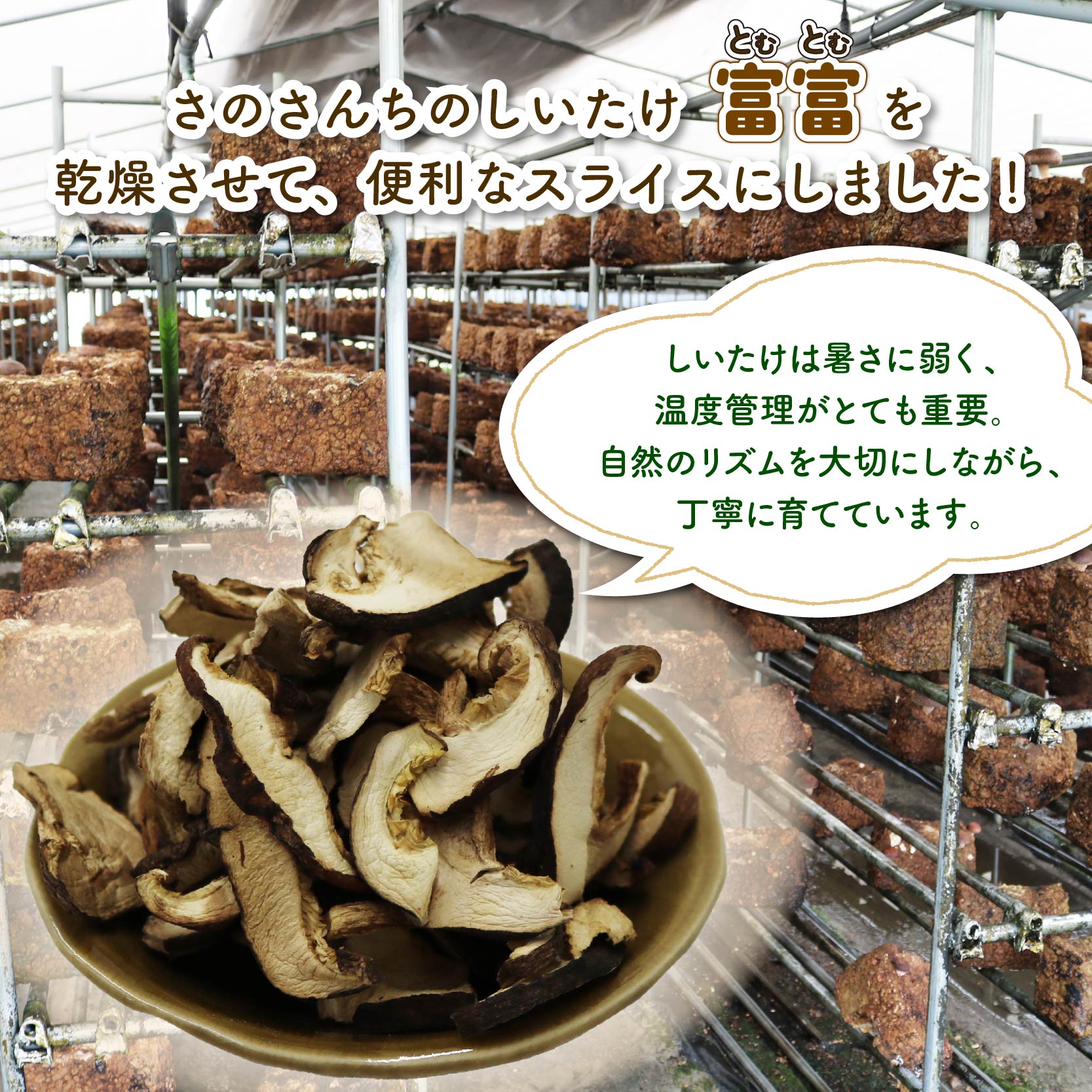 ä¹Ÿç¥ ãããã ã¹ã©ã€ã¹ 45g 6è¢ å¯å¯ïŒãšããšãïŒãã®ããã¡ æ€èž ã·ã€ã¿ã± ãã®ã å®å¿ å®å
š JGAPèªèšŒèŸ²å Ž å¹²ãæ€èž åœç£ ä¹Ÿç¥æ€èž å°åã ãã㳠調ç ç°¡å äŸ¿å© é岡ç è€æåž