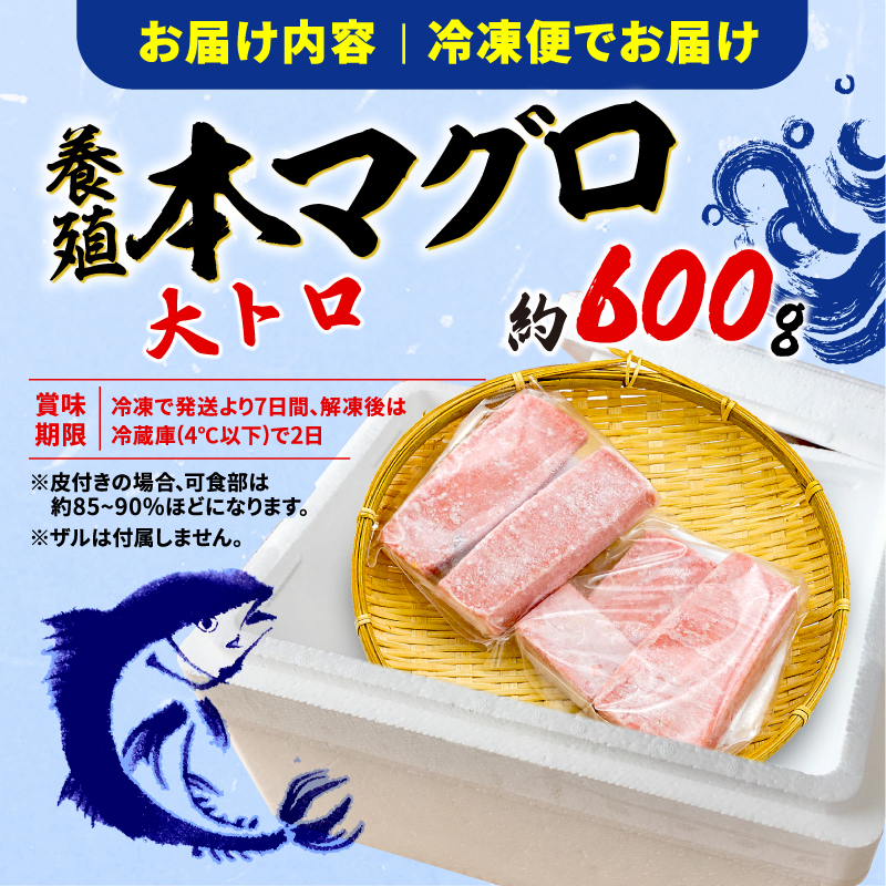 訳あり 本まぐろ 大とろ 大とろ セット 約 600g 不定型柵 鮪 まぐろ 大トロ 冷凍 鮪 漬け マグロ ユッケ 海鮮 本マグロ 本まぐろ 人気 まぐろ おいしい まぐろ 静岡 藤枝