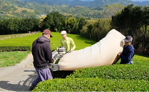 お茶 ティー バッグ 5種 詰合せ ブレンド 有機 茶葉 日本茶 紅茶 パック 詰め合わせ セット カテキン 健康