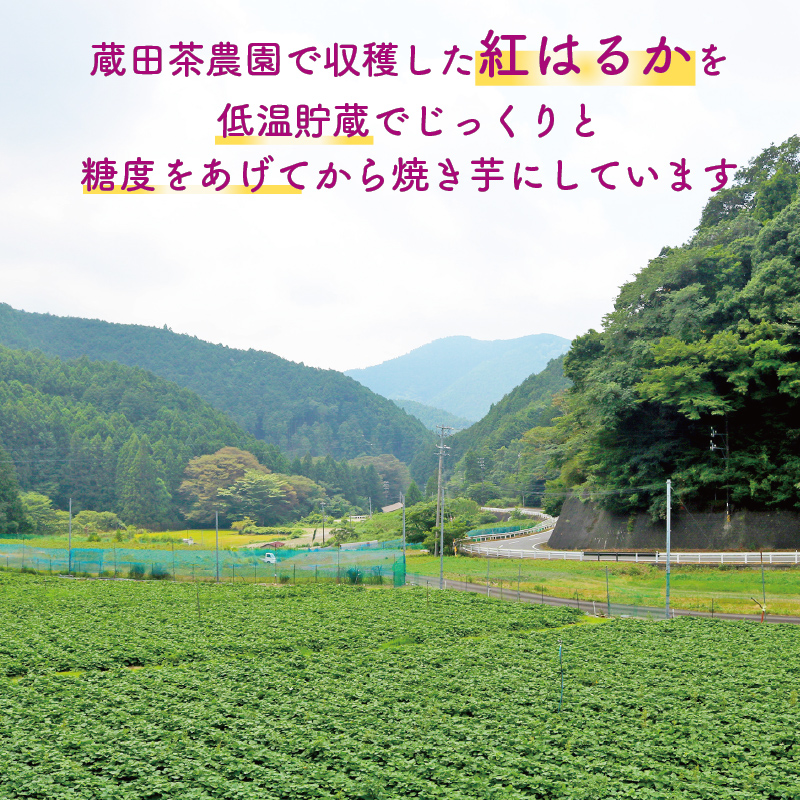 紅はるか 冷凍 焼き芋 1キロ さつまいも スイーツ デザート  アレンジ 電子レンジ 調理 やきいも いも 芋 静岡県 藤枝市 