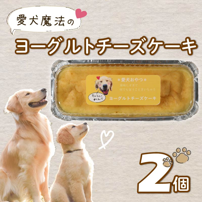 愛犬用 ヨーグルト チーズケーキ 2個 ペット ケーキ おやつ 愛犬 わんちゃん 犬用 ワンちゃん 犬 スイーツ 無添加 静岡 藤枝