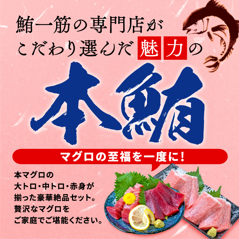 本まぐろ 大とろ 中とろ 赤身 詰合せ 約300g 本鮪 本マグロ 食べ比べ 大トロ 中トロ 赤身 解凍 鮪 漬け マグロ ユッケ 海鮮