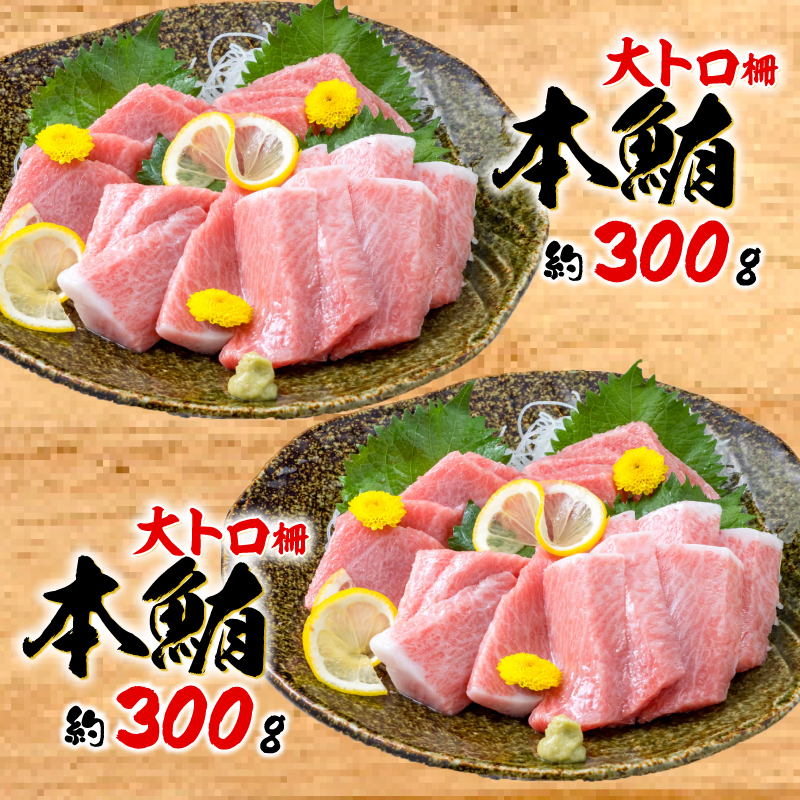 訳あり 本まぐろ 大とろ 大とろ セット 約 600g 不定型柵 鮪 まぐろ 大トロ 冷凍 鮪 漬け マグロ ユッケ 海鮮 本マグロ 本まぐろ 人気 まぐろ おいしい まぐろ 静岡 藤枝