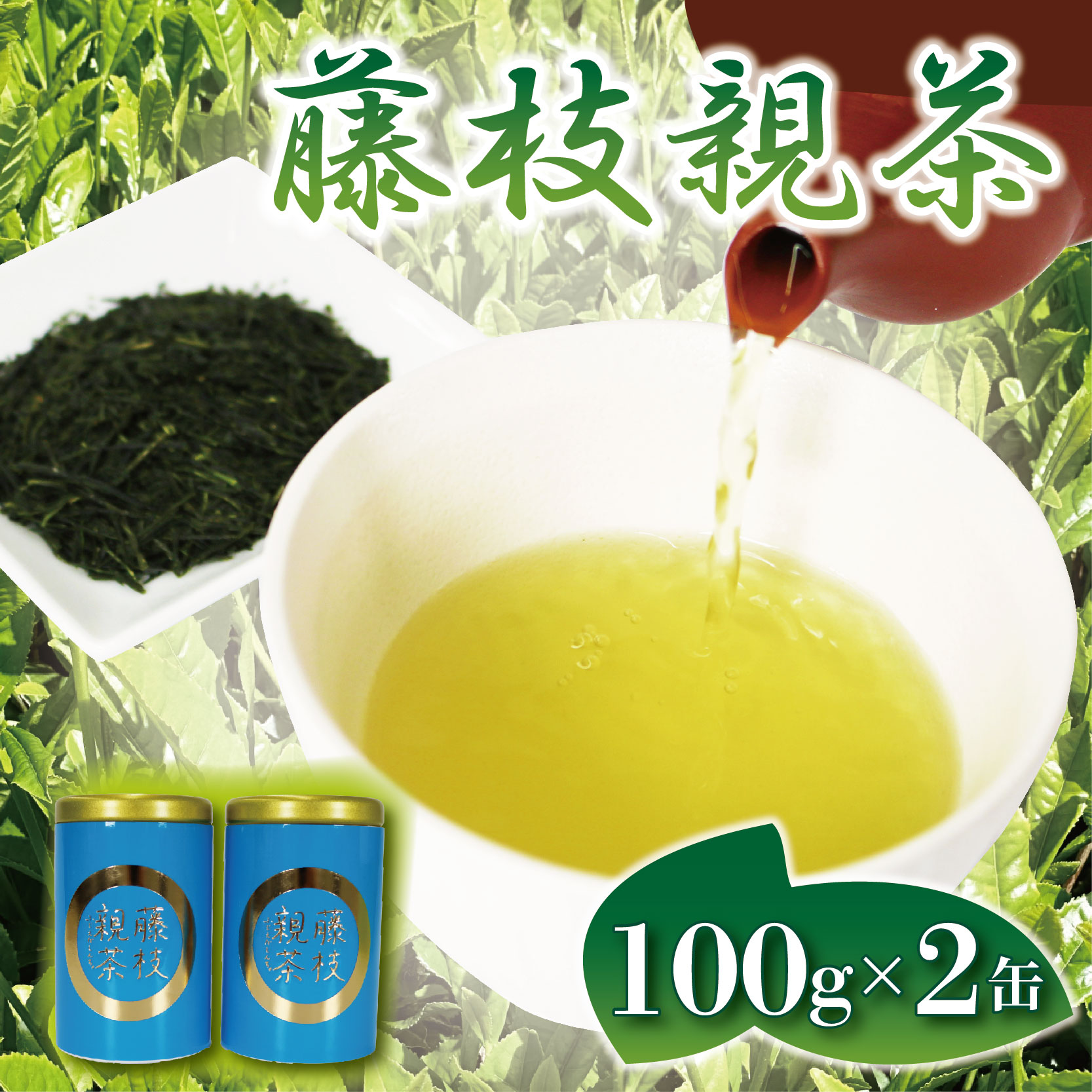 藤枝 親茶 2缶 セット 200g 緑茶 茶葉 藤枝茶