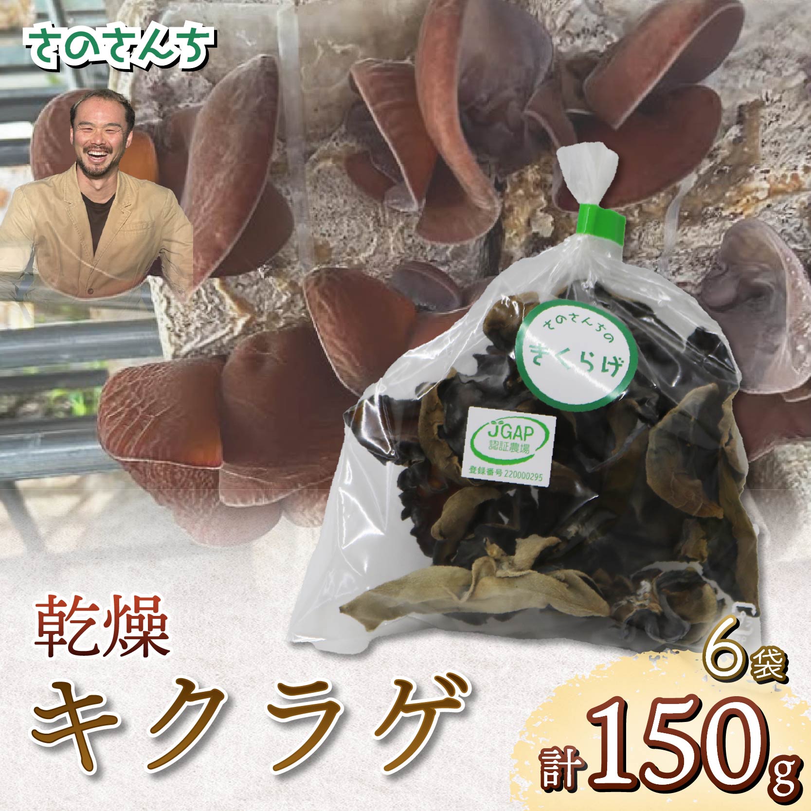乾燥キクラゲ 25g 6袋 きくらげ 丸干し 木耳 さのさんち きのこ 安心 安全 JGAP認証農場 国産 小分け キノコ 調理 簡単 便利 静岡県 藤枝市