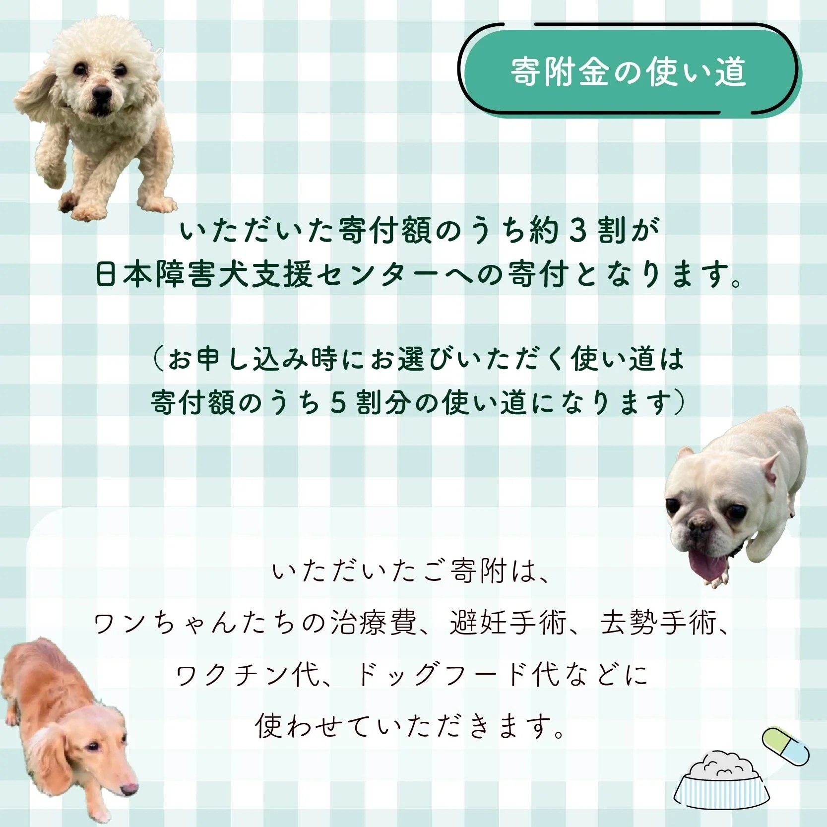 【返礼品なし】 障害犬 保護犬の支援 ラッキープラン 保護 支援 里親 譲渡 治療 餌 犬 動物愛護 藤枝市 静岡県