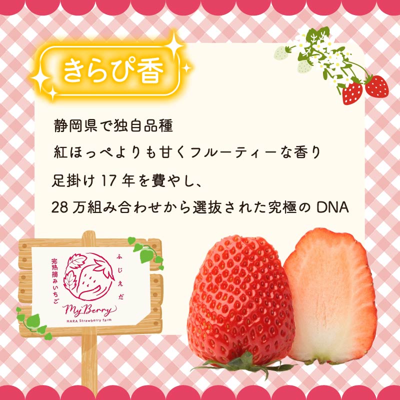 【先行予約 : 2026年3月〜2026年5月発送予定 】 いちご きらぴ香 約1kg 約250g×4パック 朝どれ 完熟 苺 産地 直送 フレッシュ イチゴ 贈答 フルーツ 果物 国産 静岡県 藤枝市 ふるさと人気 ふるさとおすすめ