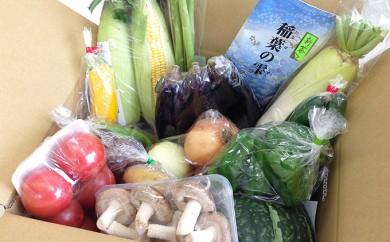 野菜 詰合せ 新鮮 採れたて 詰め合わせ 健康 静岡県 国産 季節 サラダ まんさいかん 生鮮 食品 料理 食材