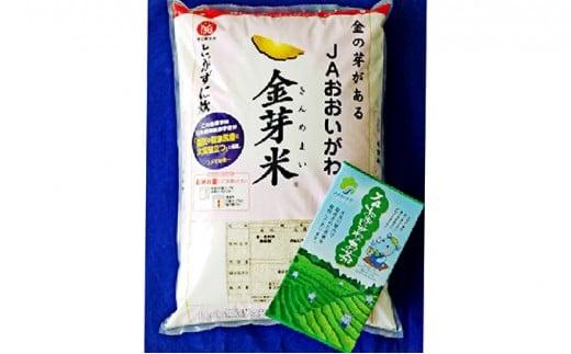 お米 金芽米 5kg お茶 80g セット きぬむすめ 無洗米 静岡県産 5キロ ごはん ご飯 精米 白米 食品