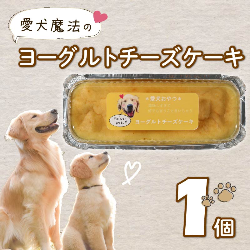 愛犬用 ヨーグルト チーズケーキ 1個 ペット ケーキ おやつ 愛犬 わんちゃん 犬用 ワンちゃん 犬 スイーツ 無添加 静岡 藤枝