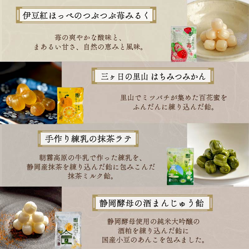 飴 10種 10袋 黒糖 げんこつ きなこ たんきり 氷砂糖 ニッキ 苺 はちみつ みかん 抹茶 酒まんじゅう アメ 個包装 おかし お菓子 おやつ 静岡県 藤枝市 甘信堂製菓
