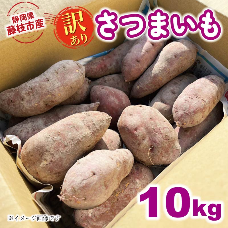 【2024年11月中旬～2025年2月末発送予定】 訳あり さつまいも 10kg 期間限定 受付期間：2025年2月15日まで サツマイモ さつま芋 イモ 芋 いも 野菜 やさい 人気 おすすめ 静岡県 藤枝市