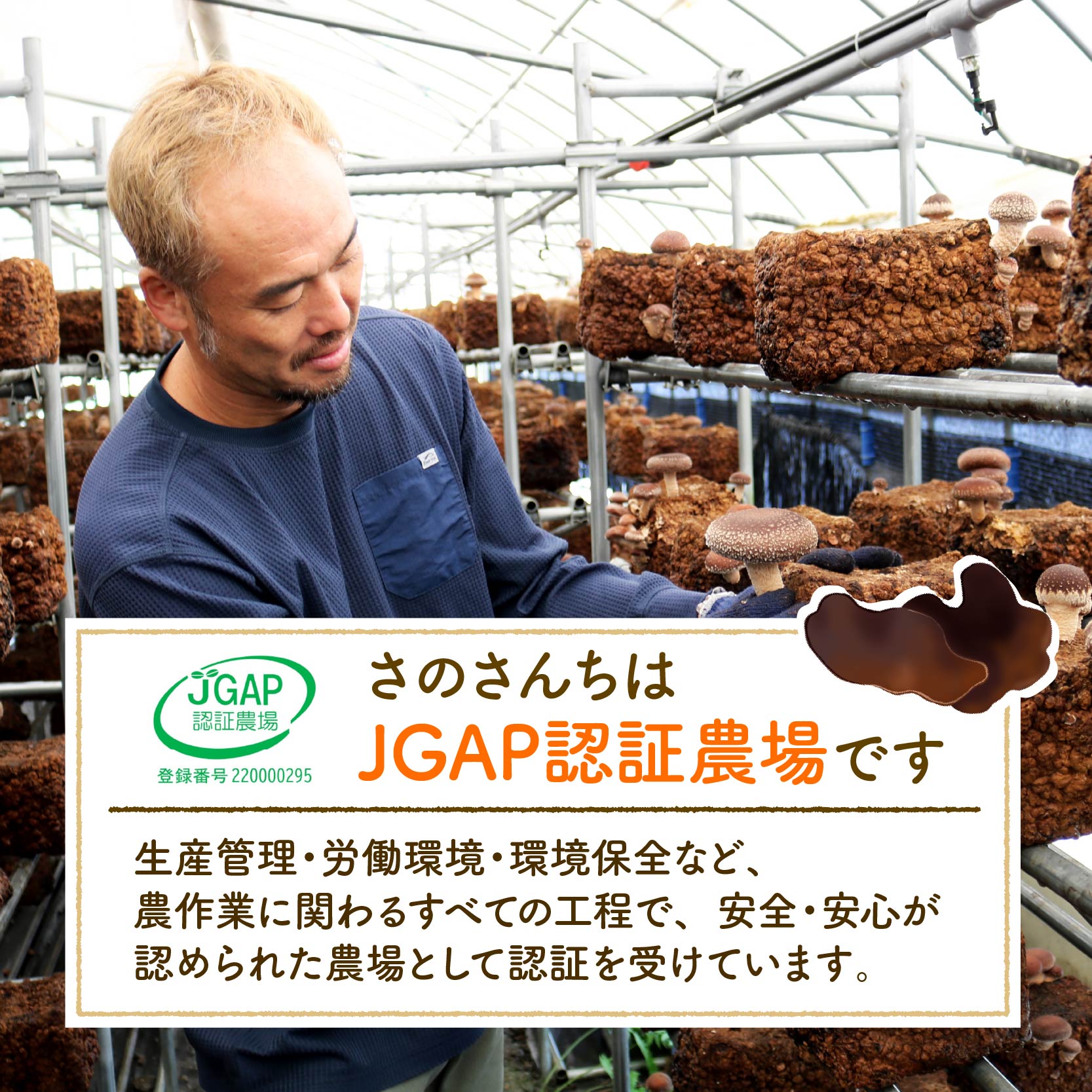 也ç¥ãã¯ã©ã² 25g 6è¢ ãããã äžžå¹²ã æšè³ ãã®ããã¡ ãã®ã å®å¿ å®å
š JGAPèªèšŒèŸ²å Ž åœç£ å°åã ãã㳠調ç ç°¡å äŸ¿å© é岡ç è€æåž