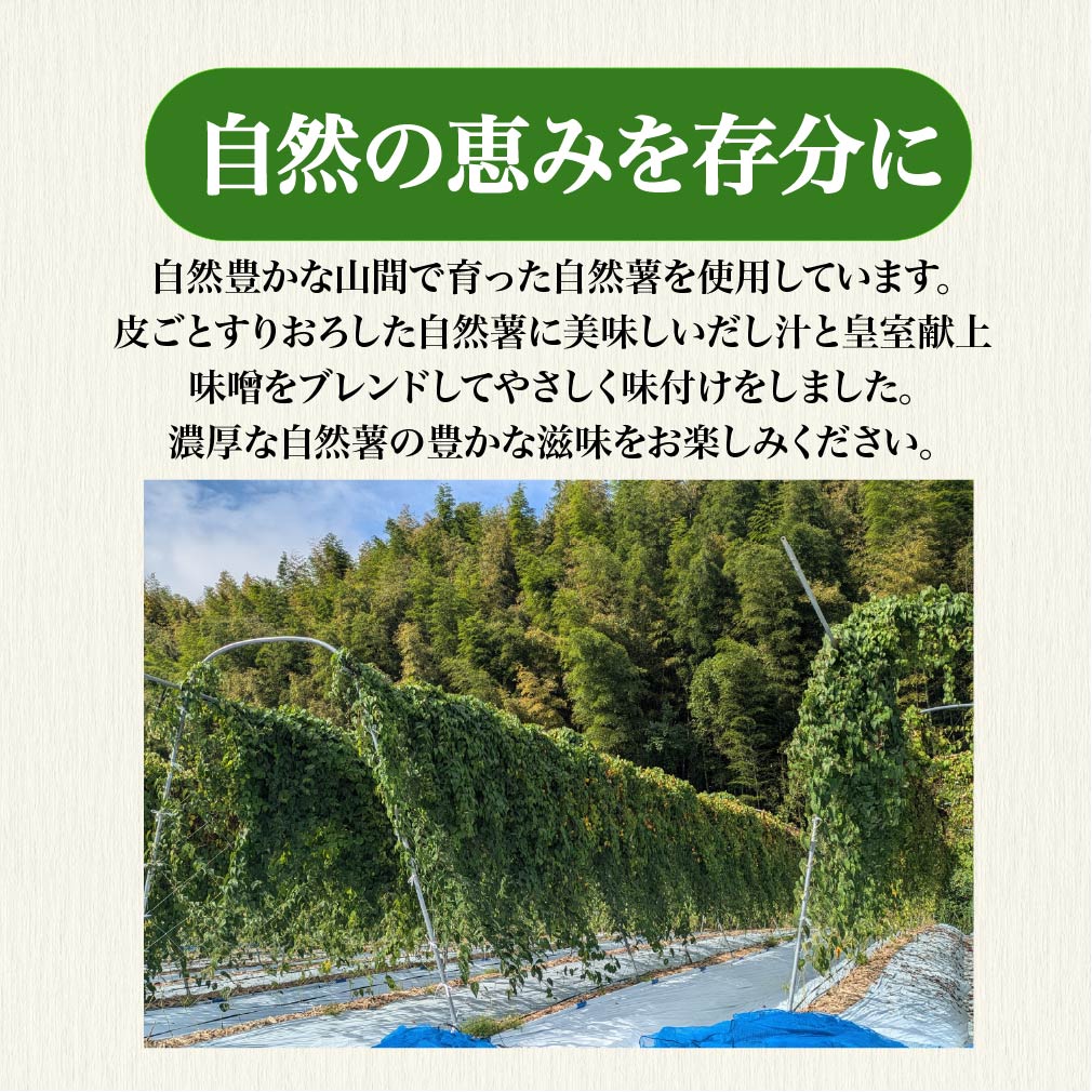 とろろ 冷凍 125g × 8個 自然薯 100％ 小分け セット とろろ汁 長芋 山芋 お手軽  農林水産省賞 受賞 ご飯 お供 そば つけ汁 健康 栄養 夏 バテ とろろ芋 個包装 静岡県 藤枝市 