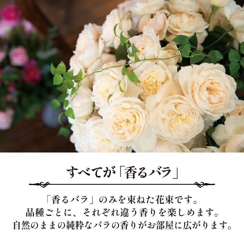 【9ヶ月定期便】 バラ 花束 ブーケ 朝摘み 3種類 薔薇 花 ばら パフューム ローズ 生花 ギフト プレゼント 祝い 定期便 母の日 卒業式 贈り物 贈答 記念日 香り 静岡県 藤枝市