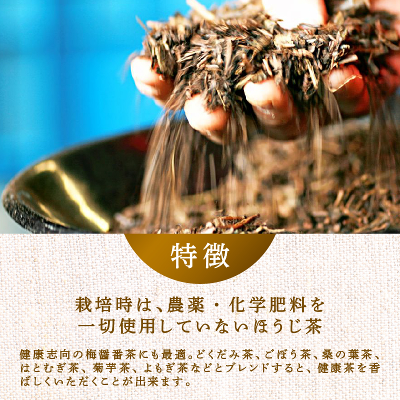 お茶 三年番茶 ティーバッグ 腸活農園 10本 セット 農薬 化学肥料 不使用 お茶 日本茶 飲料 小分け 健康 飲み物 ブレンド 静岡県産 贈り物 ギフト 静岡県 藤枝市