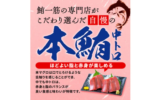 【オンライン決済限定】 【2024年12月発送】 訳あり 本まぐろ 中とろ 刺身用 約400g 年内配送 不定型柵 本鮪 まぐろ 中トロ 解凍 鮪 漬け マグロ ユッケ 海鮮 本マグロ