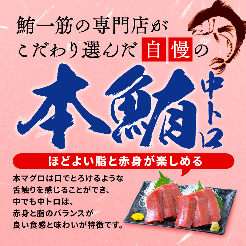 訳あり 本まぐろ 中とろ 中とろ セット 約 800g 不定型柵 鮪 まぐろ 中トロ 冷凍 鮪 漬け マグロ ユッケ 海鮮 本マグロ 本まぐろ 人気 まぐろ おいしい まぐろ 静岡 藤枝