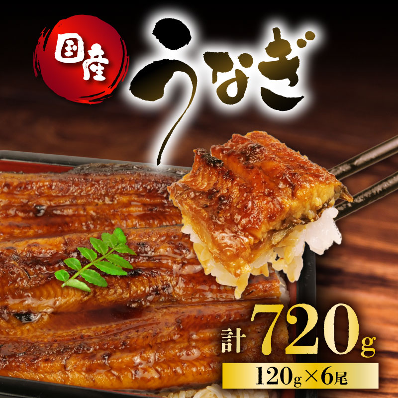 うなぎ 国産 蒲焼 120g × 6尾 計720g 鰻蒲焼 ウナギ 土用 丑の日 JAS認定 活鰻 特製無添加たれ 山椒 ギフト 贈答 冷凍 養殖 真空パック レンジ 調理 湯煎 まとめ買い 静岡県 藤枝