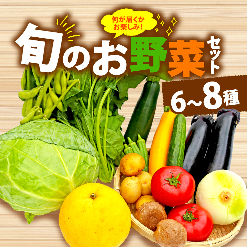 野菜 詰合せ 6～8種 おまかせ 旬 まんさいかん ボックス 静岡県 藤枝市