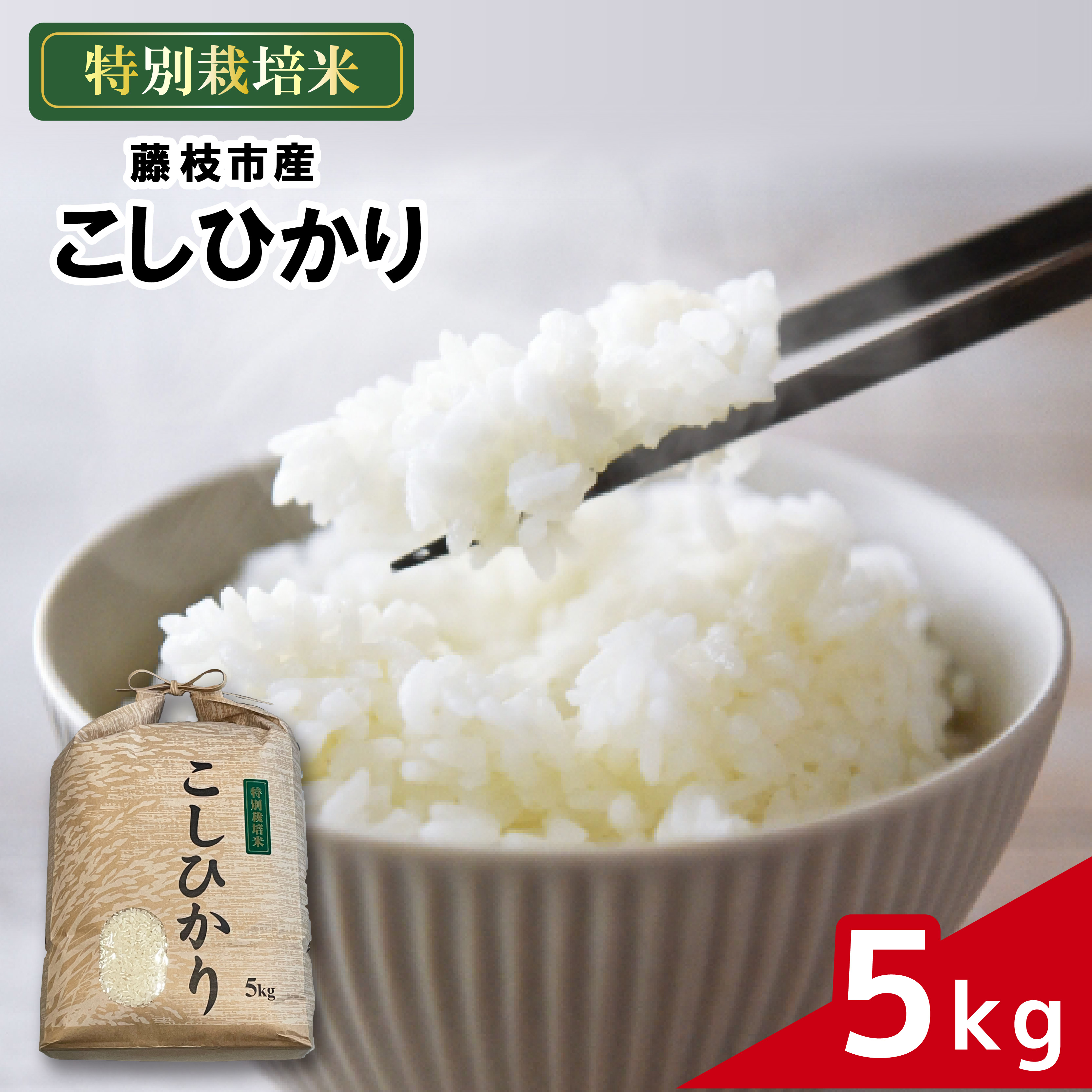 米 こしひかり 5kg 農家直送 特別栽培米 精米 コシヒカリ 令和7年度産 お米 新生活 贈り物 人気米 ご飯 白米 コメ 贈答 静岡県 藤枝市