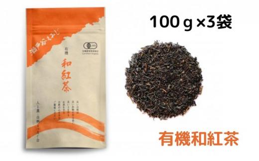 紅茶 100g × 3袋 お茶 飲料 ホット アイス 茶葉 リラックス