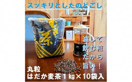 麦茶 のどごしさやか「はだか麦茶」1kg 入れ 10個 飲料 大容量 むぎ茶 煮出し 八木音 静岡県