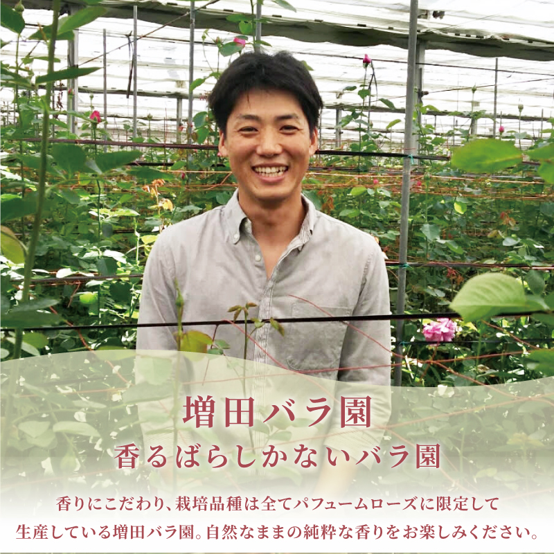 【6ヶ月定期便】 バラ 花束 ブーケ 朝摘み 3種類 薔薇 花 ばら パフューム ローズ 生花 ギフト プレゼント 祝い 定期便 母の日 卒業式 贈り物 贈答 記念日 香り 静岡県 藤枝市