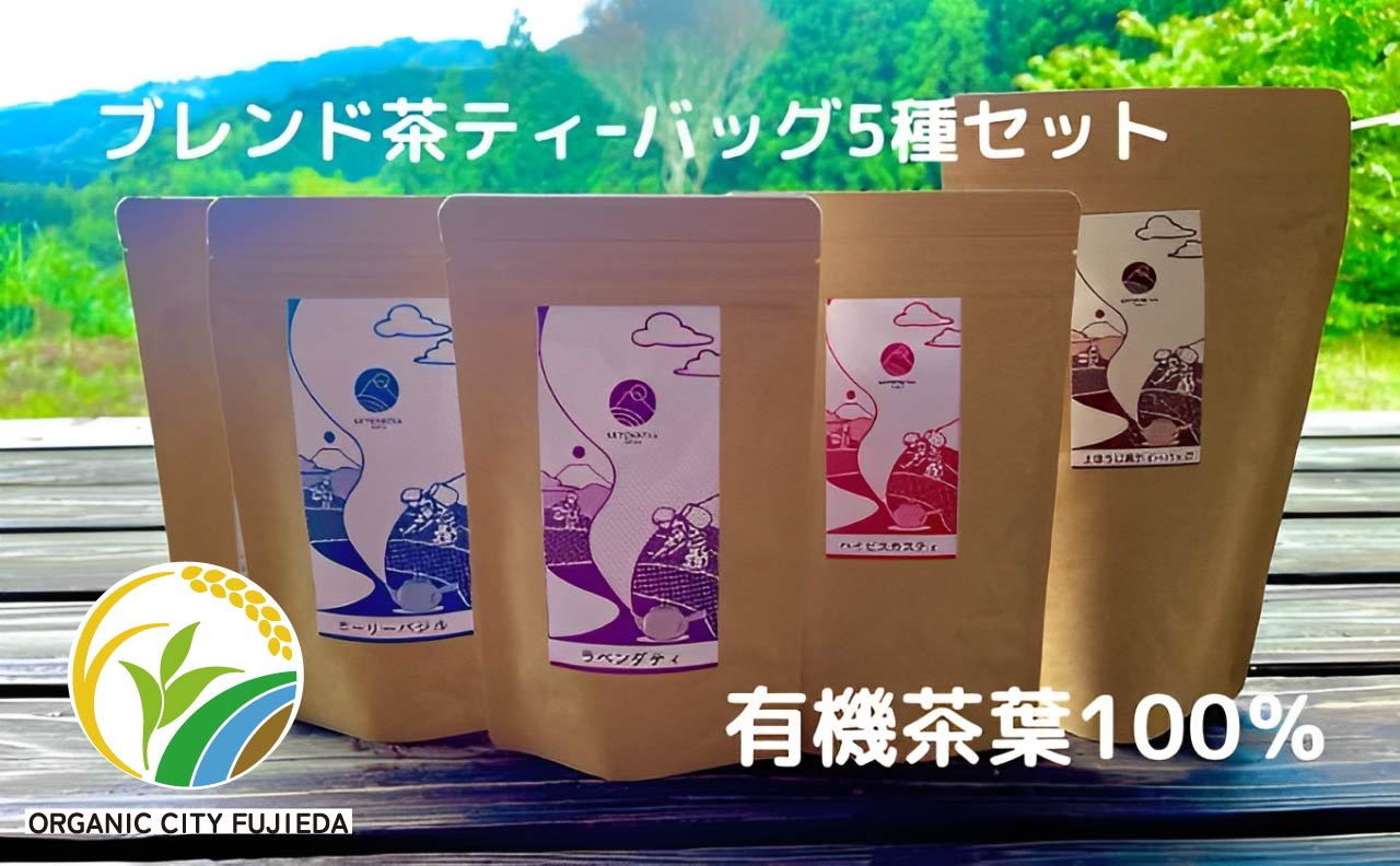 お茶 ティー バッグ 5種 詰合せ ブレンド 有機 茶葉 日本茶 紅茶 パック 詰め合わせ セット カテキン 健康