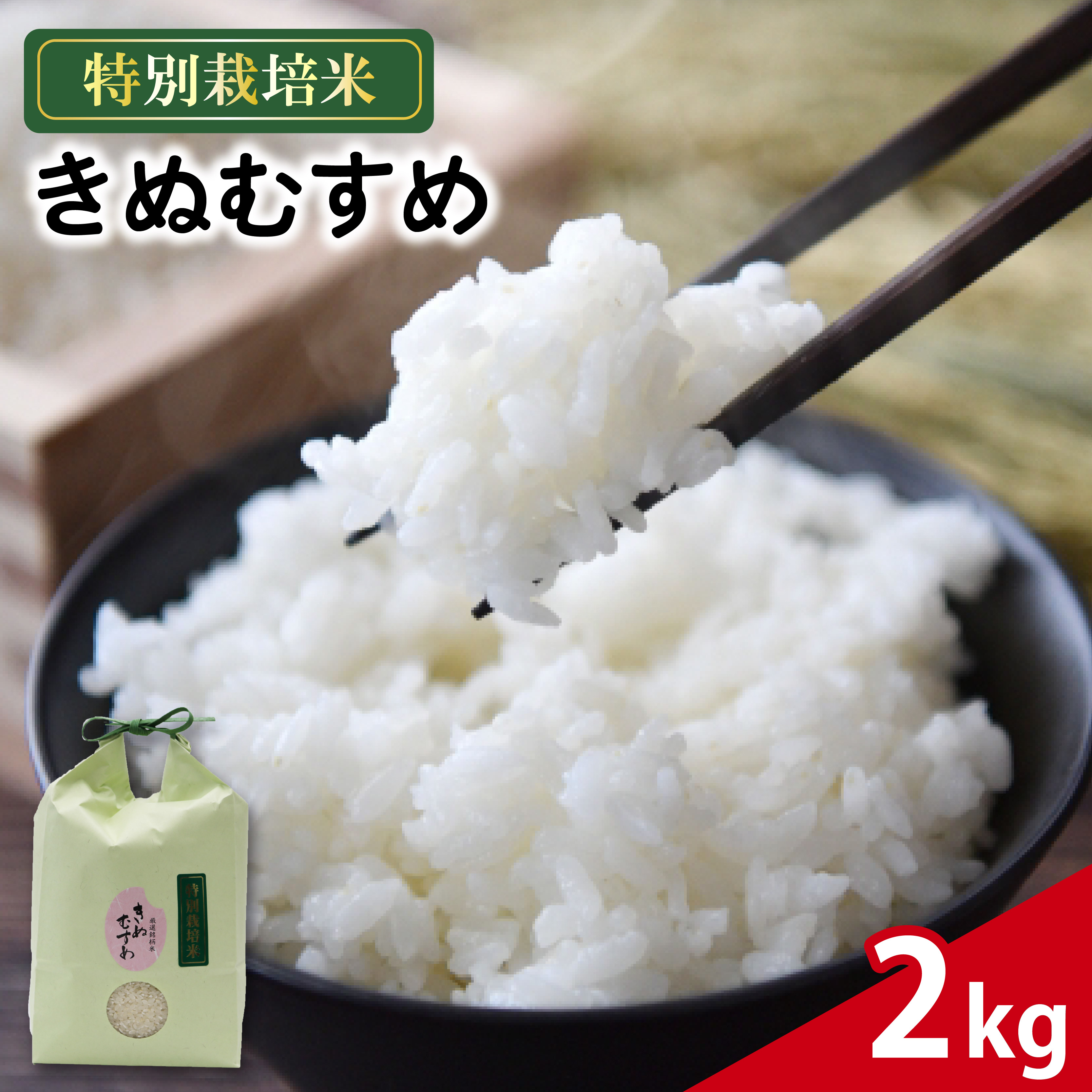 米 きぬむすめ 2kg 農家直送 特別栽培米 精米 お米 中生種 新生活 贈り物 人気米 おにぎり ご飯 白米 コメ 贈答 静岡県 藤枝市