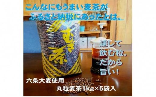 麦茶 玉ちゃん 丸粒麦茶 1kg 入れ 5個 飲料 大容量 むぎ茶 煮出し 八木音 静岡県