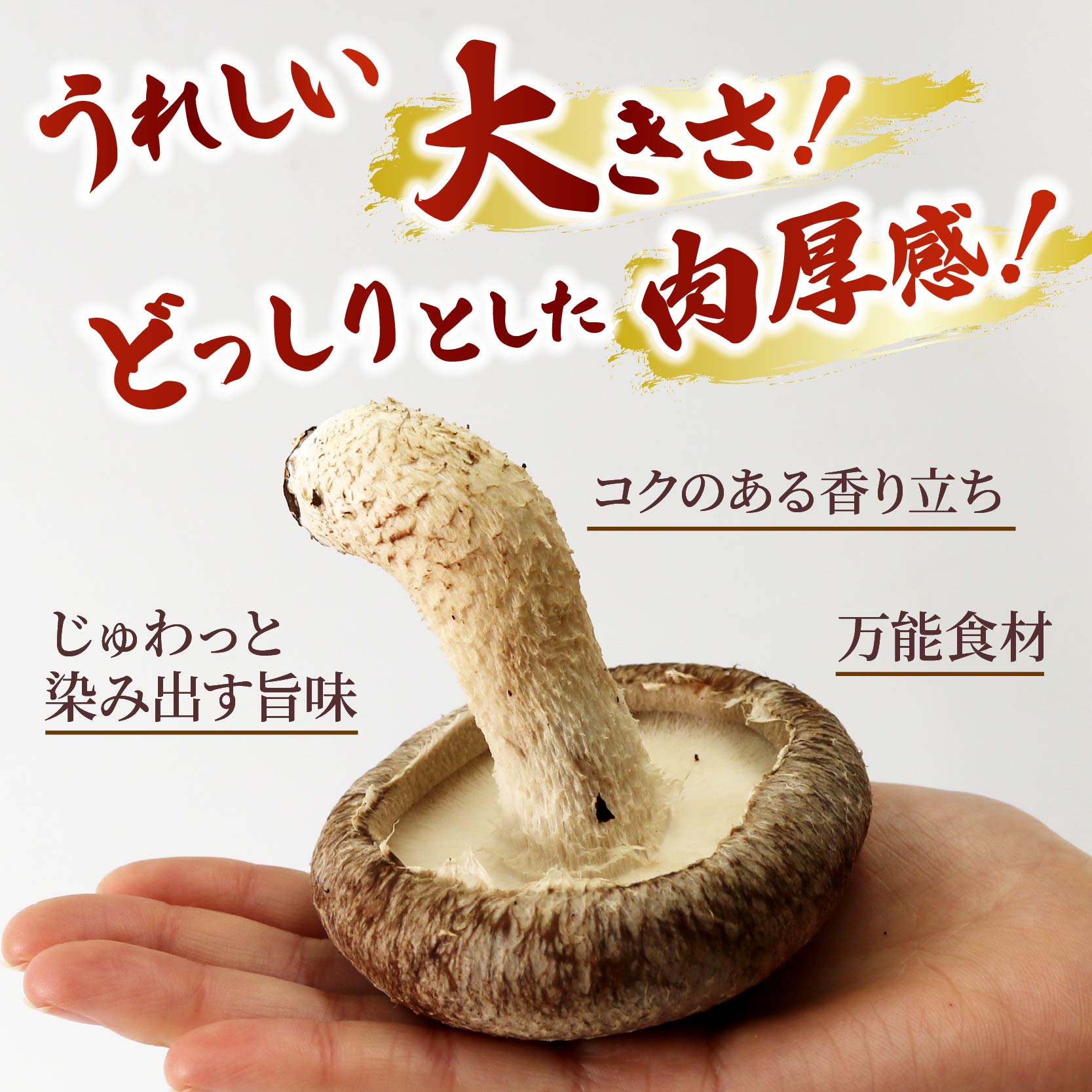 生 しいたけ 約1kg 前田きのこ園 椎茸 シイタケ 肉厚 ジューシー きのこ 茸 キノコ 温室栽培 手作業 旨味 たっぷり 香り 冷凍保存で旨味アップ 人気 野菜 静岡県 藤枝市