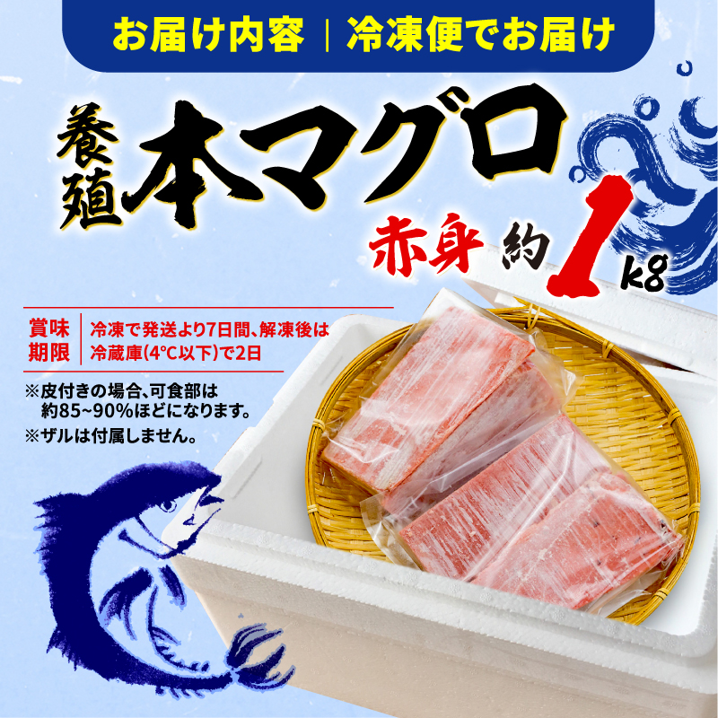 訳あり 本まぐろ 赤身 赤身 セット 約 1kg 不定型柵 鮪 まぐろ 冷凍 鮪 漬け マグロ ユッケ 海鮮 本マグロ 人気 まぐろ おいしい まぐろ 静岡 藤枝